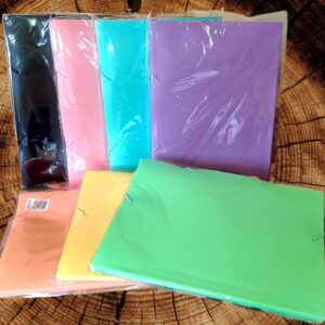 Carpeta 3 Solapas Plástica - Oficio - UTIL UNO